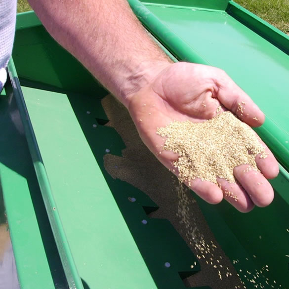 fine-seeding