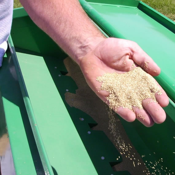 fine seeding