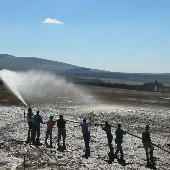 hydroseeding