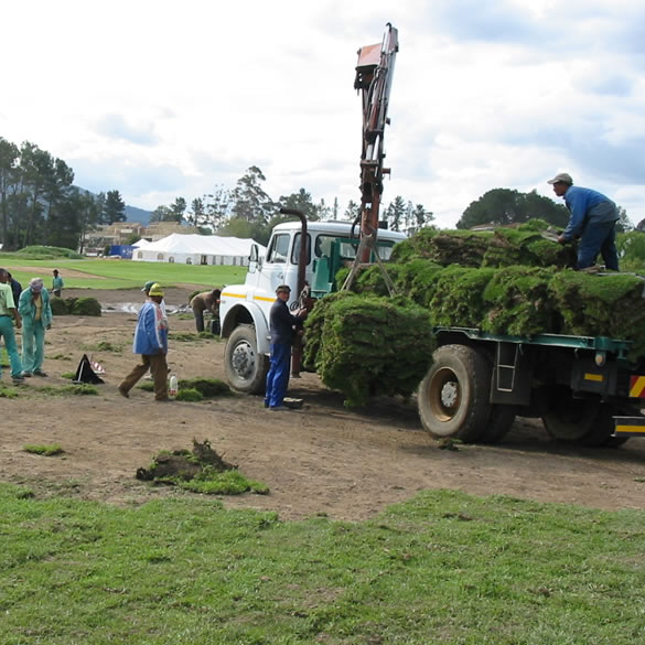 roll-on-lawn