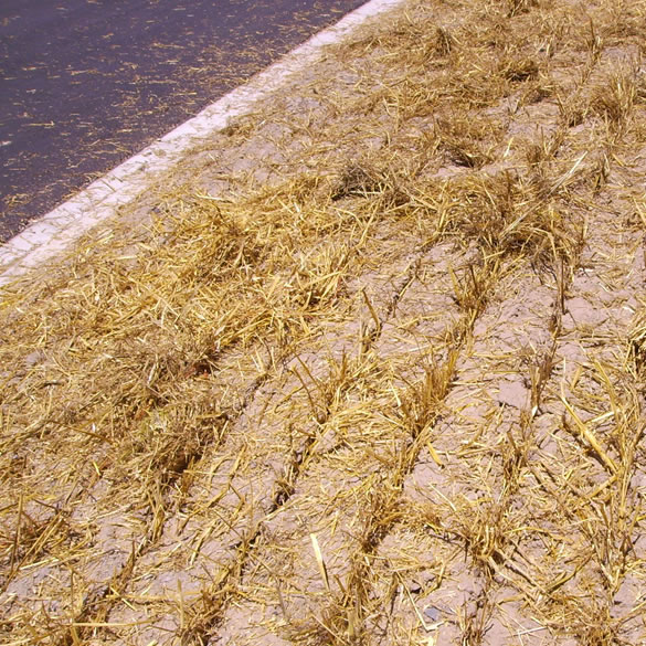 straw stabilisation