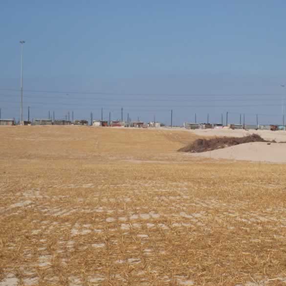 straw stabilisation