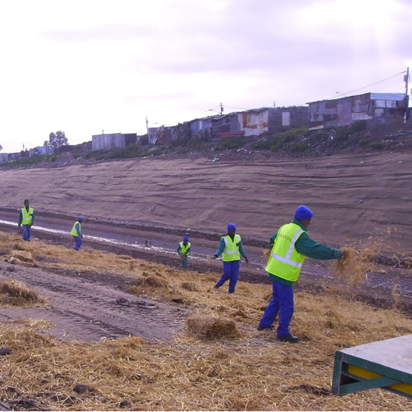straw stabilisation