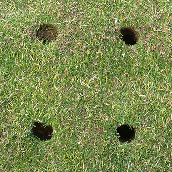 vertidrain